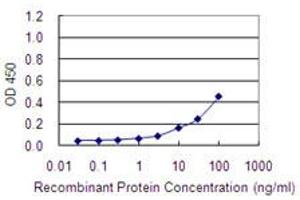 Detection limit for recombinant GST tagged C1orf163 is 1 ng/ml as a capture antibody. (C1orf163 antibody  (AA 1-231))