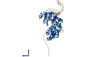 Protein Structure (PS) image for Glutamate Decarboxylase 1 (Brain, 67kDa) (GAD1) (AA 1-593) protein (His tag) (ABIN7563309)