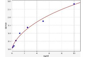 Acid Phosphatase 5, Tartrate Resistant (ACP5) ELISA Kit