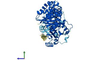 Protein Structure (PS) image for Tubulin, alpha 3e (TUBA3E) (AA 1-450) protein (His tag) (ABIN7544264)