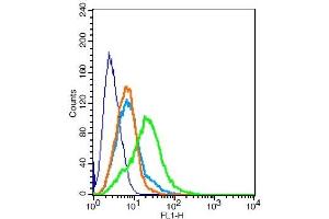 RSC96 probed with MC4 Receptor Polyclonal Antibody, Unconjugated  at 1:100 for 30 minutes followed by incubation with a conjugated secondary -FITC) (green) for 30 minutes compared to control cells (blue), secondary only (light blue) and isotype control (orange). (MC4R antibody  (AA 1-50))