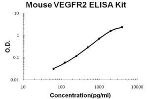 Mouse VEGFR2/KDR Accusignal ELISA Kit Mouse VEGFR2/KDR AccuSignal ELISA Kit standard curve. (VEGFR2/CD309 ELISA Kit)