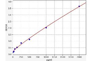 SLC19A1 ELISA Kit