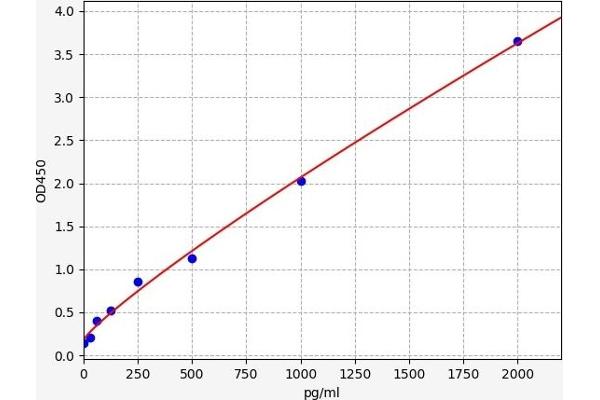 SLC19A1 ELISA Kit