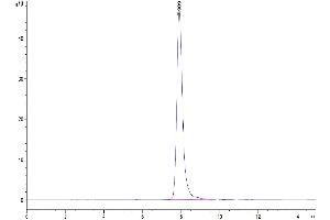 The purity of Human CD46 is greater than 95 % as determined by SEC-HPLC. (CD46 Protein (CD46) (AA 35-343) (His tag))