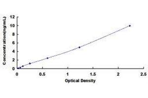 Keratin 9 (KRT9) ELISA Kit