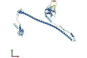 AlphaFold protein structure predicition of Mouse Recombinant Trim30a Protein, UniprotID P15533 (TRIM30 Protein (AA 1-496) (His tag))