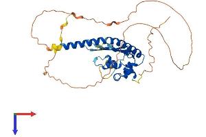 AlphaFold protein structure predicition of Human Recombinant TSPY26P Protein, UniprotID Q9H489 (TSPY26P Protein (AA 1-355) (His tag))