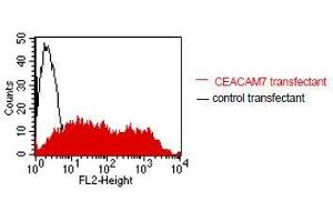 FACS analysis of BOSC23 cells using BAC2. (CEACAM7 antibody)