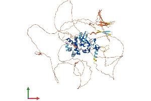 AlphaFold protein structure predicition of Mouse Recombinant Kmt5b Protein, UniprotID Q3U8K7 (SUV420H1 Protein (AA 1-883) (His tag))