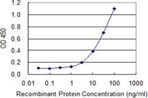 Detection limit for recombinant GST tagged CLDN16 is 0. (Claudin 16 antibody  (AA 1-73))