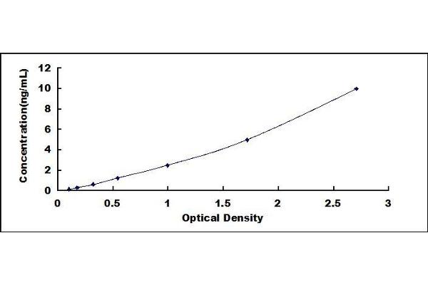 CMA1 ELISA Kit