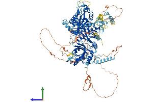 Protein Structure (PS) image for Processing of Precursor 1, Ribonuclease P/MRP Subunit (S. Cerevisiae) (POP1) (AA 1-1024) protein (His tag) (ABIN7555055)