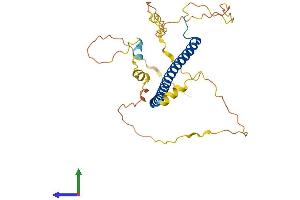 AlphaFold protein structure predicition of Human Recombinant CEBPE Protein, UniprotID Q15744