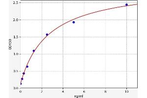 Typical standard curve (MMP14 ELISA Kit)
