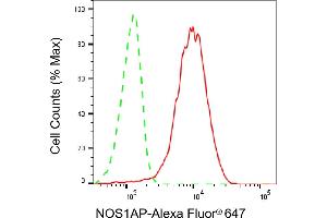Flow cytometric analysis of NOS1AP expression in HepG2 cells using NOS1AP antibody (ABIN7799605), 1:2,000). (Recombinant NOS1AP antibody)