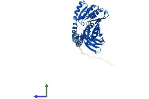 AlphaFold protein structure predicition of Human Recombinant PRMT6 Protein, UniprotID Q96LA8 (PRMT6 Protein (AA 1-375) (His tag))