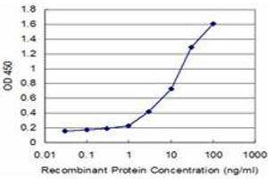 Detection limit for recombinant GST tagged SFRS6 is approximately 0. (SFRS6 antibody  (AA 1-75))