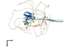 MAP3K13 Protein (AA 1-959) (His tag)