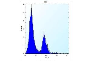 CA1 Antibody (N-term) (ABIN656574 and ABIN2845835) flow cytometric analysis of HE cells (right histogram) compared to a negative control cell (left histogram). (CA1 antibody  (N-Term))