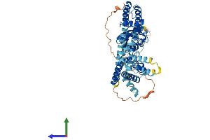 AlphaFold protein structure predicition of Mouse Recombinant Kcnf1 Protein, UniprotID Q7TSH7 (KCNF1 Protein (AA 1-493) (His tag))