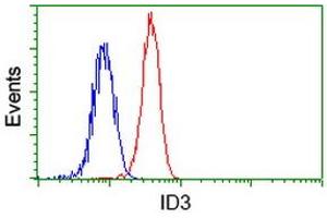 Image no. 2 for anti-Inhibitor of DNA Binding 3, Dominant Negative Helix-Loop-Helix Protein (ID3) antibody (ABIN1498780) (ID3 antibody)