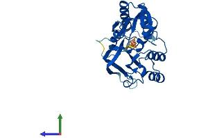 AlphaFold protein structure predicition of Mouse Recombinant Dph6 Protein, UniprotID Q9CQ28 (ATPBD4 Protein (AA 1-267) (His tag))