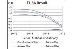 Black line: Control Antigen (100 ng), Purple line: Antigen(10 ng), Blue line: Antigen (50 ng), Red line: Antigen (100 ng), (IGFBP7 antibody  (AA 52-156))
