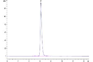 Size-exclusion chromatography-High Pressure Liquid Chromatography (SEC-HPLC) image for Selectin E (SELE) (AA 22-556) protein (His-Avi Tag,Biotin) (ABIN7274573)