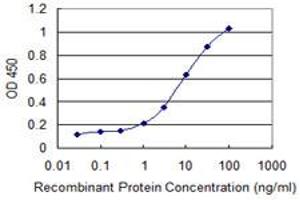 Detection limit for recombinant GST tagged CAPN3 is 0. (Calpain 3 antibody  (AA 210-309))
