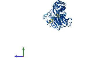 AlphaFold protein structure predicition of Human Recombinant ENTPD2 Protein, UniprotID Q9Y5L3 (ENTPD2 Protein (AA 1-495) (His tag))