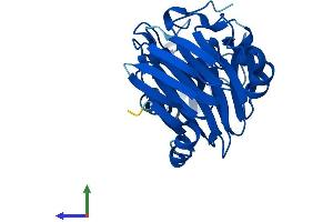 AlphaFold protein structure predicition of Human Recombinant HAAO Protein, UniprotID P46952 (HAAO Protein (AA 1-286) (His tag))