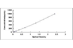 Typical standard curve (FGF17 ELISA Kit)