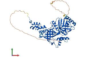 Protein Structure (PS) image for F-Box Protein 31 (FBXO31) (AA 1-507) protein (His tag) (ABIN7557080)