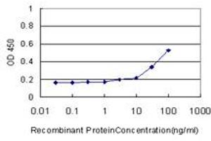 Detection limit for recombinant GST tagged SOD3 is approximately 10ng/ml as a capture antibody. (SOD3 antibody  (AA 26-125))