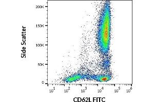 Flow cytometry surface staining pattern of human peripheral whole blood stained using anti-human CD62L (LT-TD180) FITC antibody (20 μL reagent / 100 μL of peripheral whole blood). (L-Selectin antibody  (FITC))