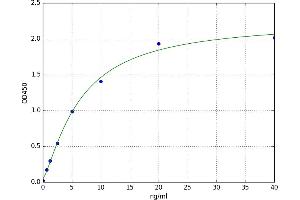 A typical standard curve (PTGS1 ELISA Kit)
