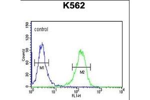 C21orf29 Antibody (Center) (ABIN653223 and ABIN2842758) flow cytometric analysis of K562 cells (right histogram) compared to a negative control cell (left histogram). (TSPEAR antibody  (AA 293-320))