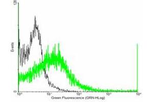 Flow Cytometry (FACS) image for anti-Regulator of G-Protein Signaling 7 (RGS7) (AA 1-487) antibody (ABIN519775)