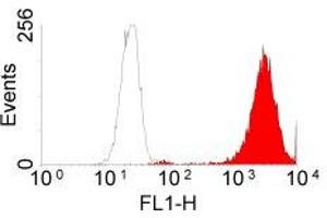 Flow Cytometry (FACS) image for anti-Epidermal Growth Factor Receptor (EGFR) (Extracellular Domain) antibody (ABIN211610) (EGFR antibody  (Extracellular Domain))