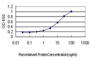 Detection limit for recombinant GST tagged ICA1 is approximately 0. (ICA1 antibody  (AA 1-110))