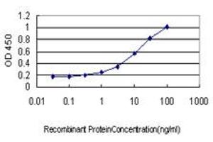 Detection limit for recombinant GST tagged ICA1 is approximately 0. (ICA1 antibody  (AA 1-110))