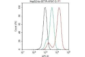 anti-Chemokine (C-X-C Motif) Ligand 16 (CXCL16) (AA 41-140) antibody (AbBy Fluor® 647)