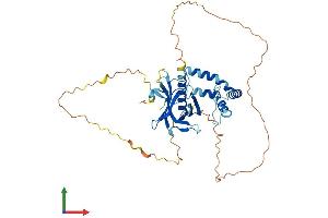 Protein Structure (PS) image for Sprouty-Related, EVH1 Domain Containing 2 (SPRED2) (AA 1-410) protein (His tag) (ABIN7560258)