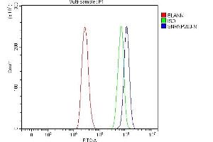 Flow Cytometry analysis of A431 cells using anti-SNRNP200 antibody (ABIN7602032). (SNRNP200 antibody  (AA 557-2129))