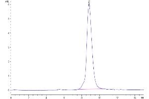 The purity of Cynomolgus GPA is greater than 95 % as determined by SEC-HPLC. (CD235a/GYPA Protein (AA 20-91) (His tag))