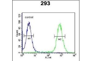 EXOC3L2 Antibody (N-term) (ABIN651216 and ABIN2840135) flow cytometric analysis of 293 cells (right histogram) compared to a negative control cell (left histogram). (EXOC3L2 antibody  (N-Term))