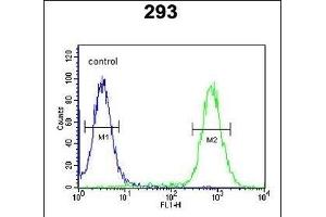 EXOC3L2 Antibody (N-term) (ABIN651216 and ABIN2840135) flow cytometric analysis of 293 cells (right histogram) compared to a negative control cell (left histogram). (EXOC3L2 antibody  (N-Term))