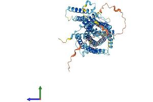 AlphaFold protein structure predicition of Human Recombinant SLC7A4 Protein, UniprotID O43246