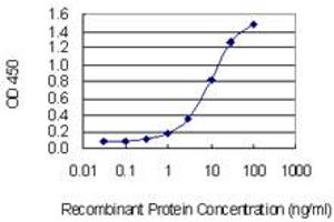Detection limit for recombinant GST tagged C7orf16 is 0. (G Substrate antibody  (AA 1-99))